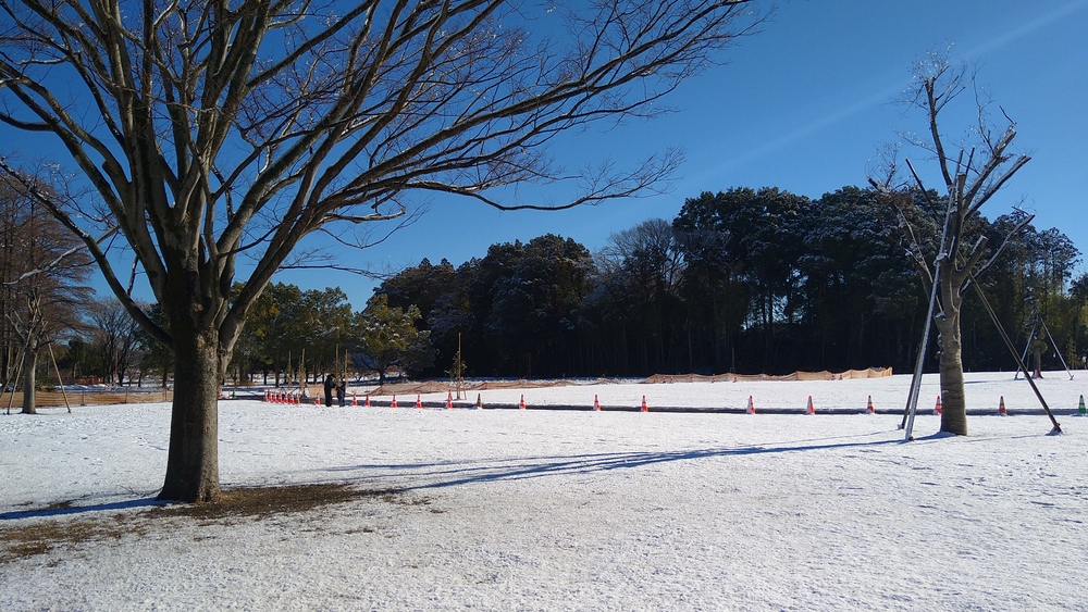 A picture of Nagareyama Central Park, showing a grass field covered in snow on a clear day