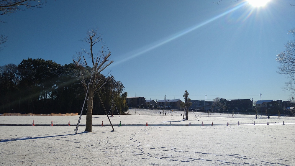 A picture of Nagareyama Central Park, showing a grass field covered in snow on a clear day